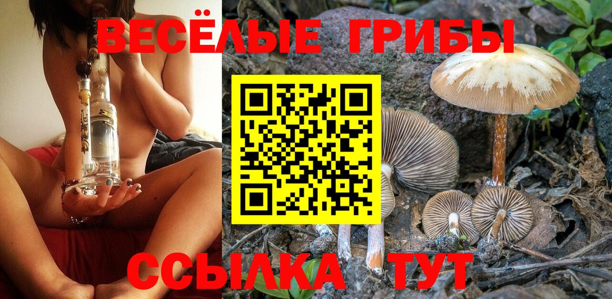 Галлюциногенные грибы Psilocybine cubensis Узловая