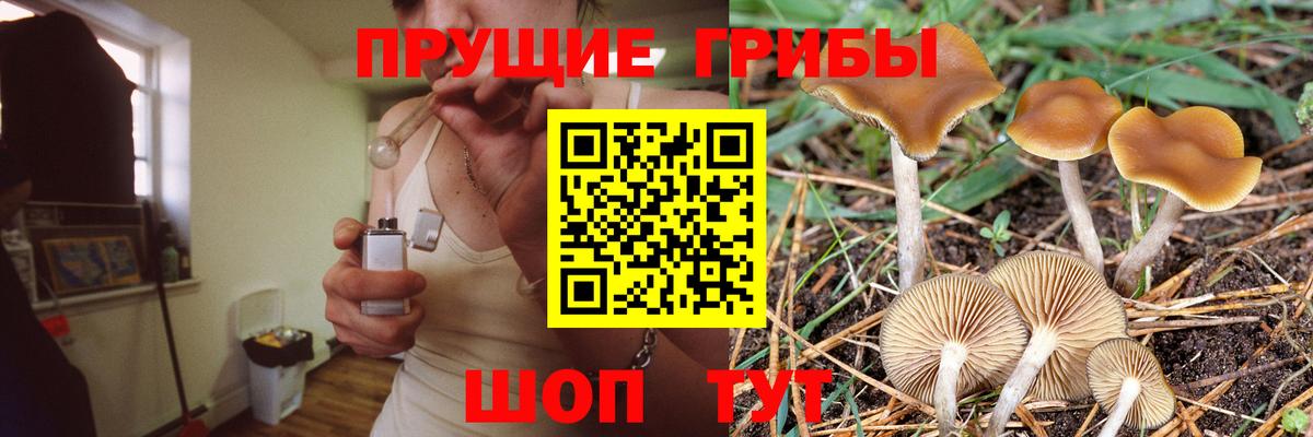 Узловая  Псилоцибиновые грибы ЛСД  Вход с VPN 